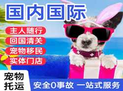 屯溪航空货运国际宠物托运 【国